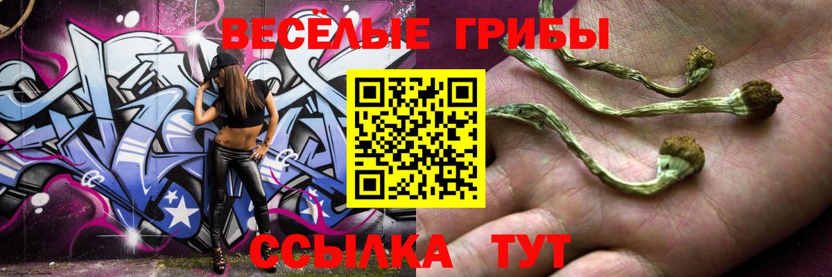 Псилоцибиновые грибы Psilocybe Черкесск