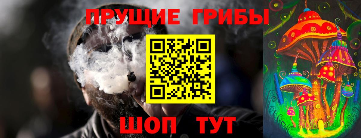 Черкесск  Псилоцибиновые грибы Psilocybe  Вход с VPN 